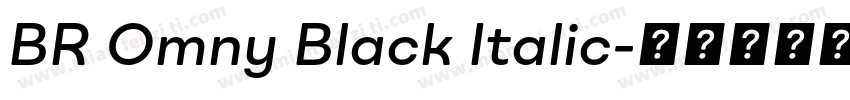 BR Omny Black Italic字体转换